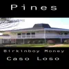 R.E.N. - Pines (feat. Birkinboy Money) - Single